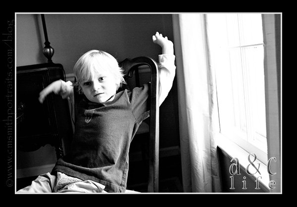 jessetree1-012 jessetree1-012